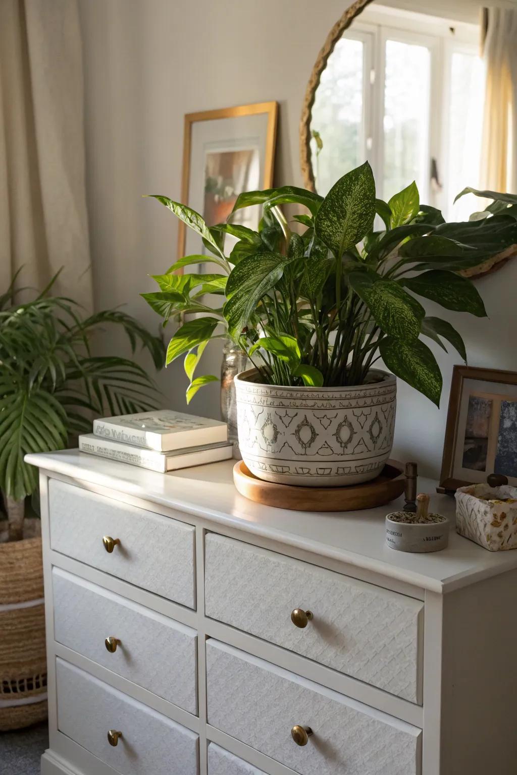 Greenery infuses any space with freshness and life.
