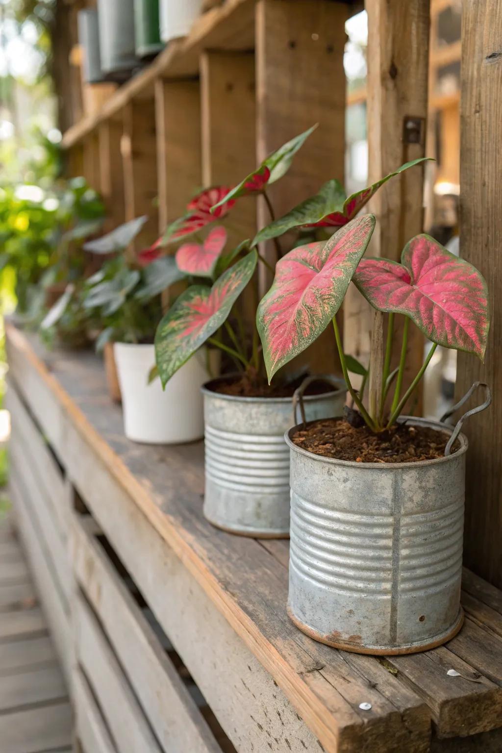 Classic receptacles introduce a hint of nostalgia to your flora displays.