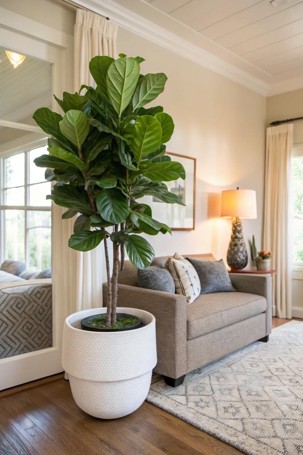 Add a burst of greenery with a statement plant in a fashionable planter.