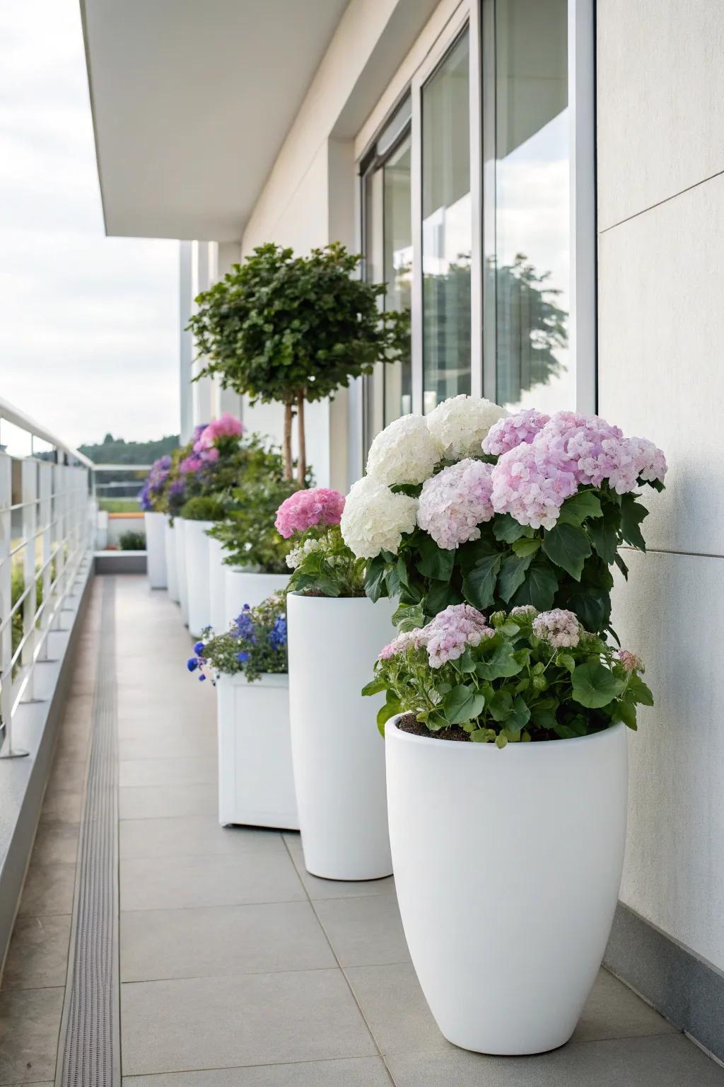 Refined white containers presenting hydrangeas on a minimalist balcony.
