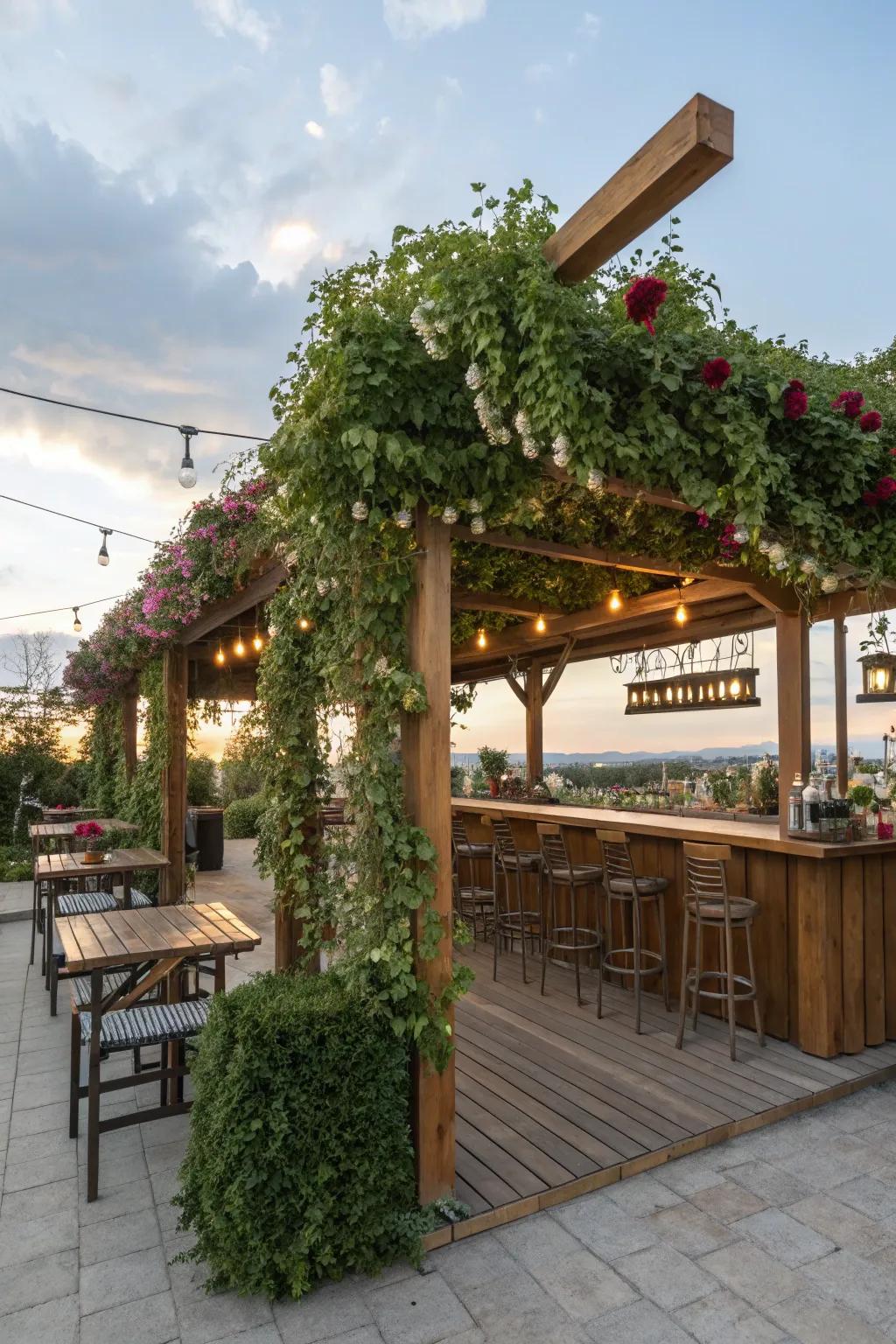 A canopy-covered bar presents fashionable shelter.