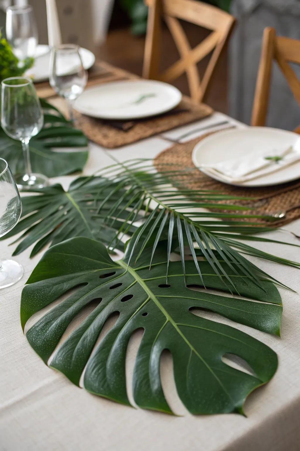 Swiss cheese plant foliage serves as both stylish surface protectors and focal points.