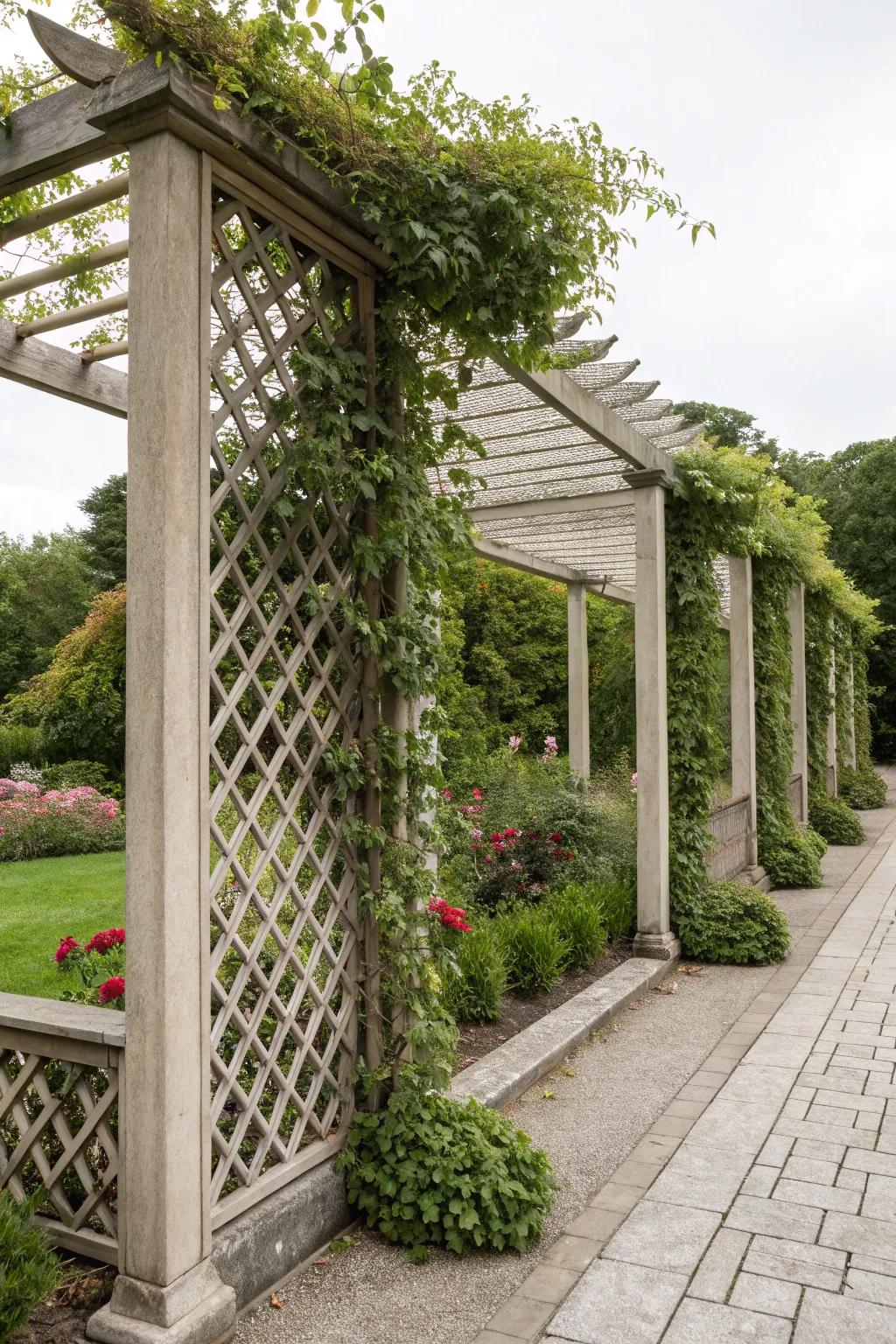 Lattice walls present a classic aesthetic touched by the beauty of nature.
