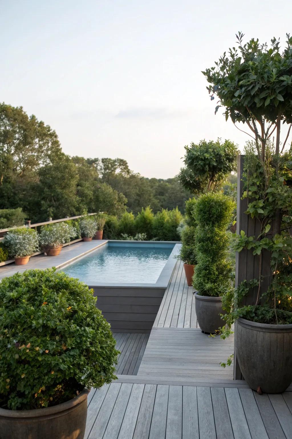 Towering containers provide solitude and a touch of seclusion.