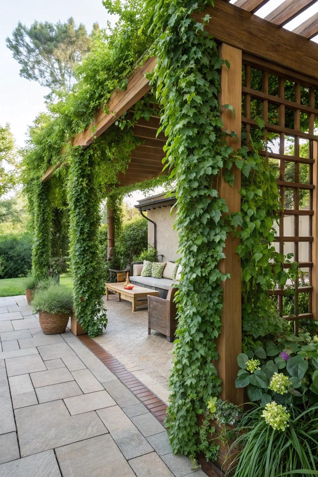Verdant surface trellises bring lush greenery to any area.