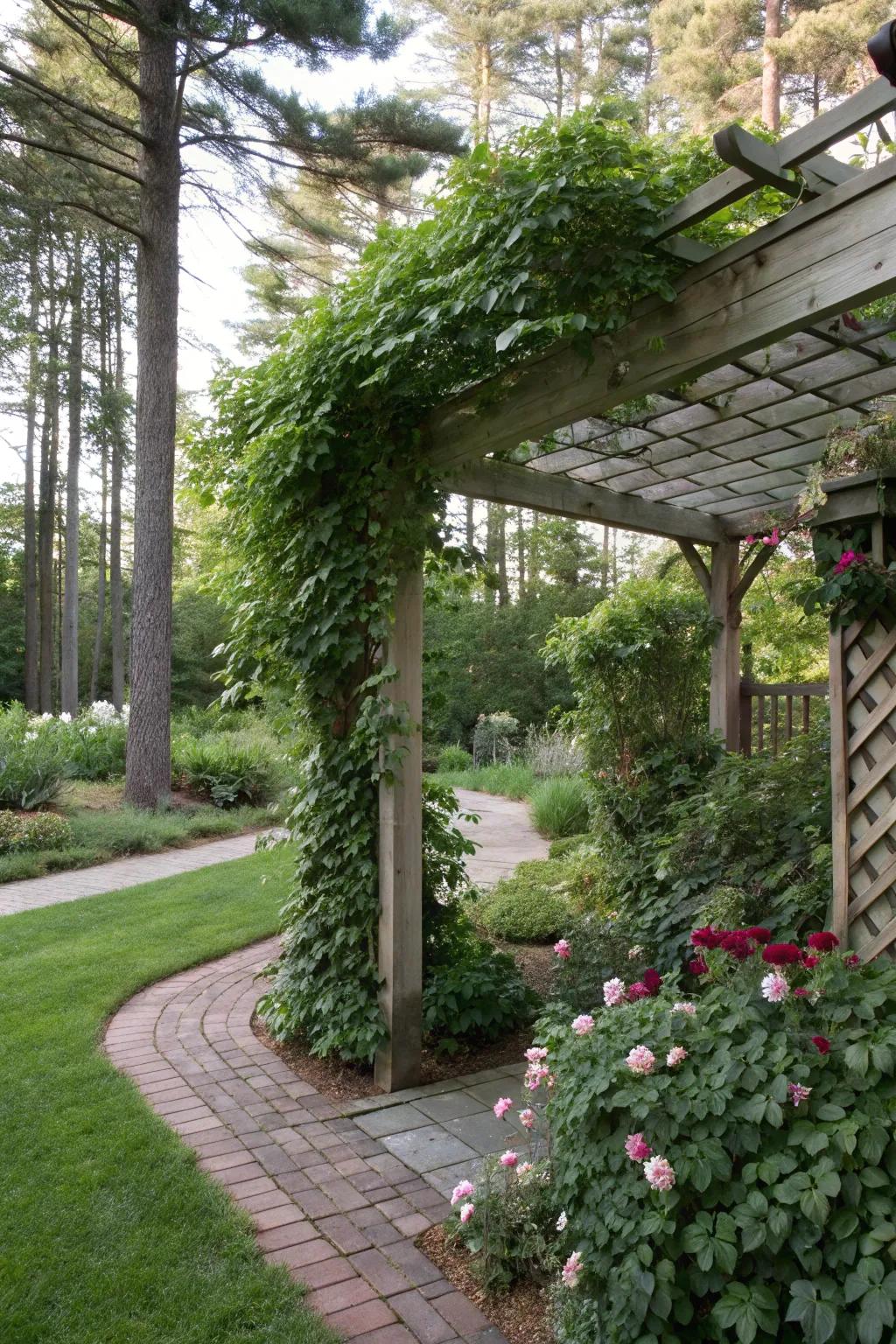 With climbing plants, a pergola becomes a private, shady escape.