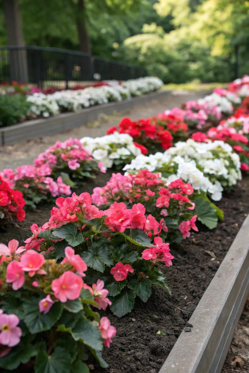 Make your garden a masterpiece with colorful blossomheart designs.
