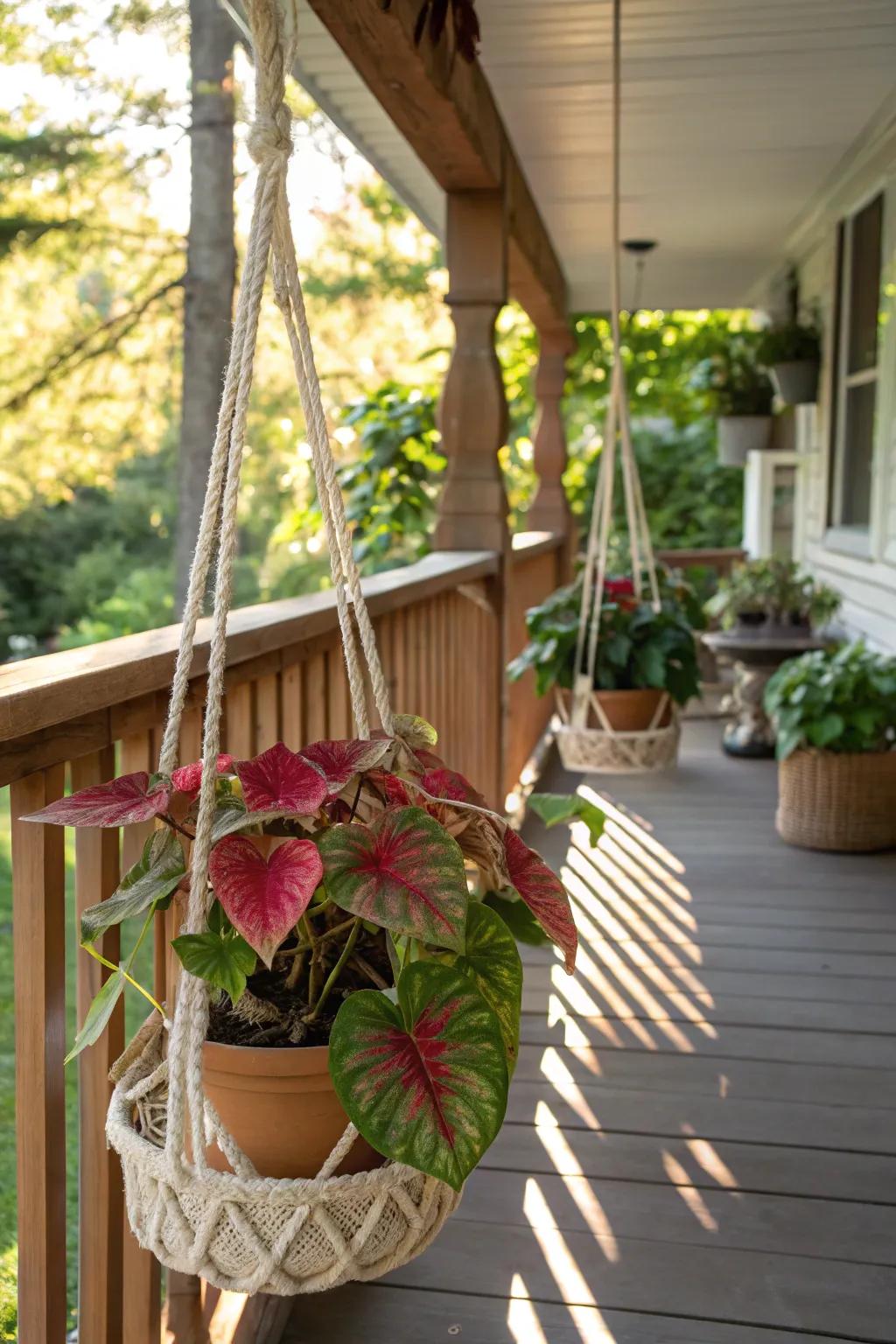 Suspended kaleidoscope plants fashion a lavish, inviting outdoor setting.