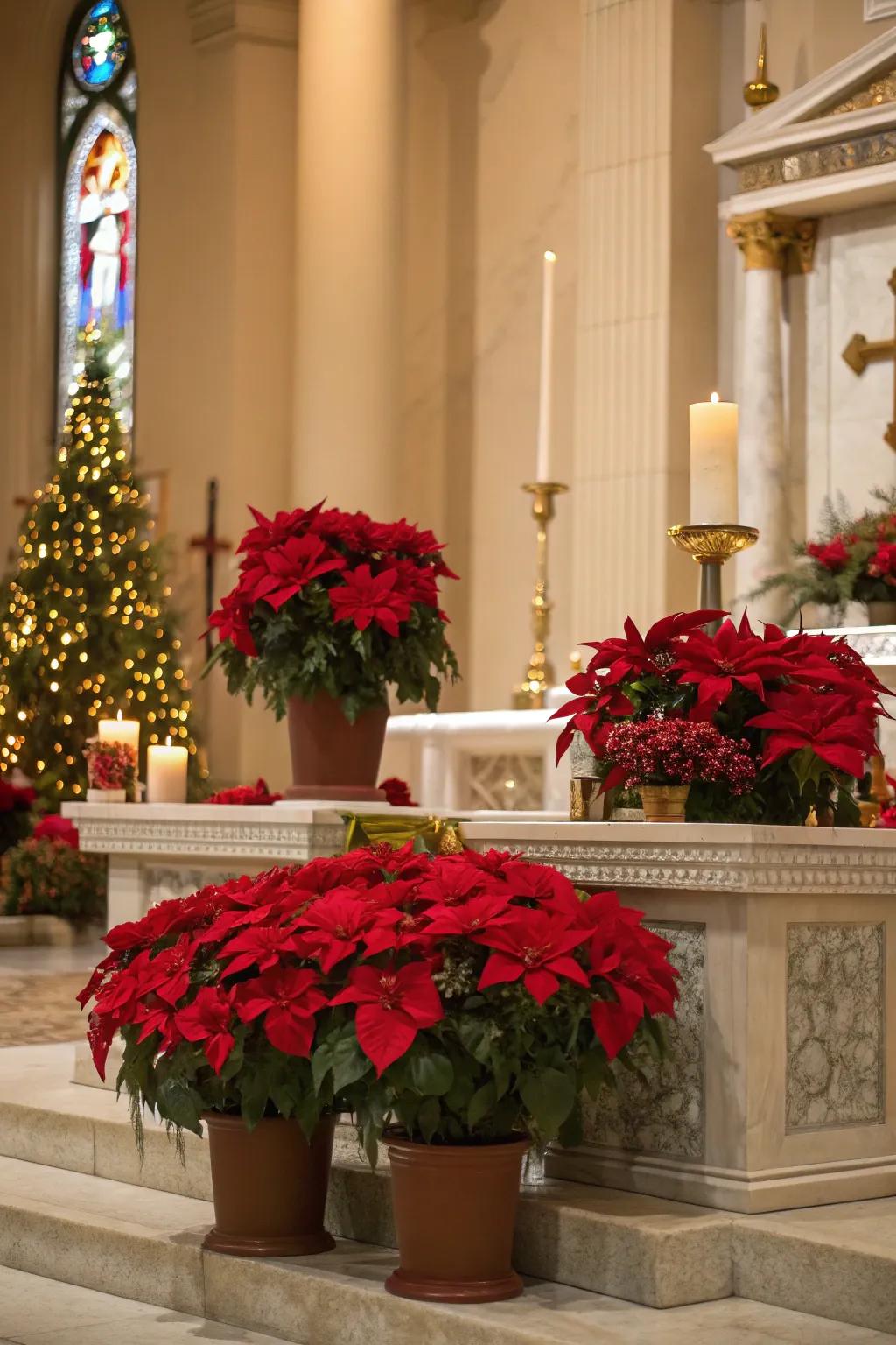 Brilliant holiday stars infuse festive vitality into the church’s holy space.