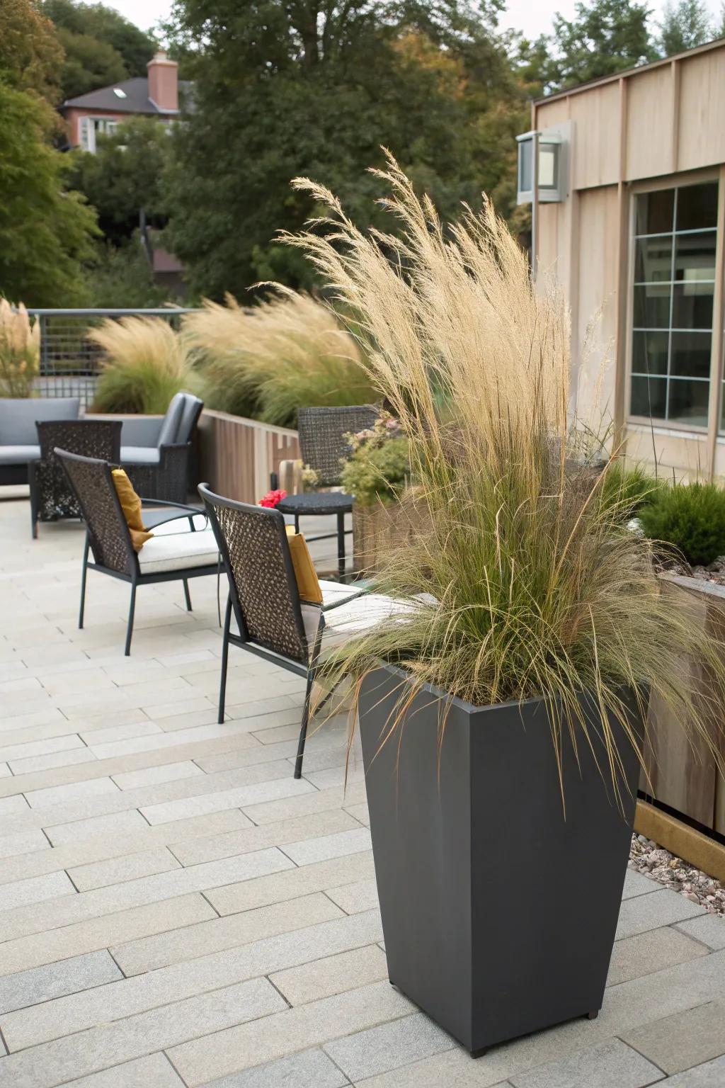 Decorative grasses in holders add stature and style to patios.