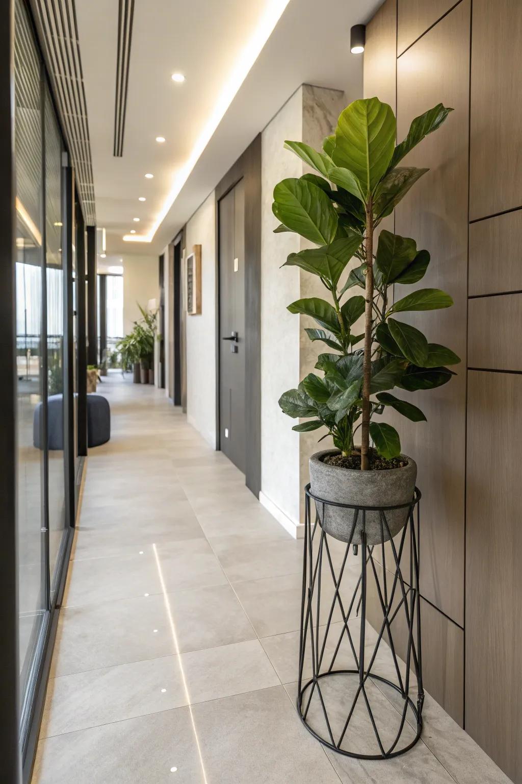 Add a contemporary spin with stylish metal plant stands.
