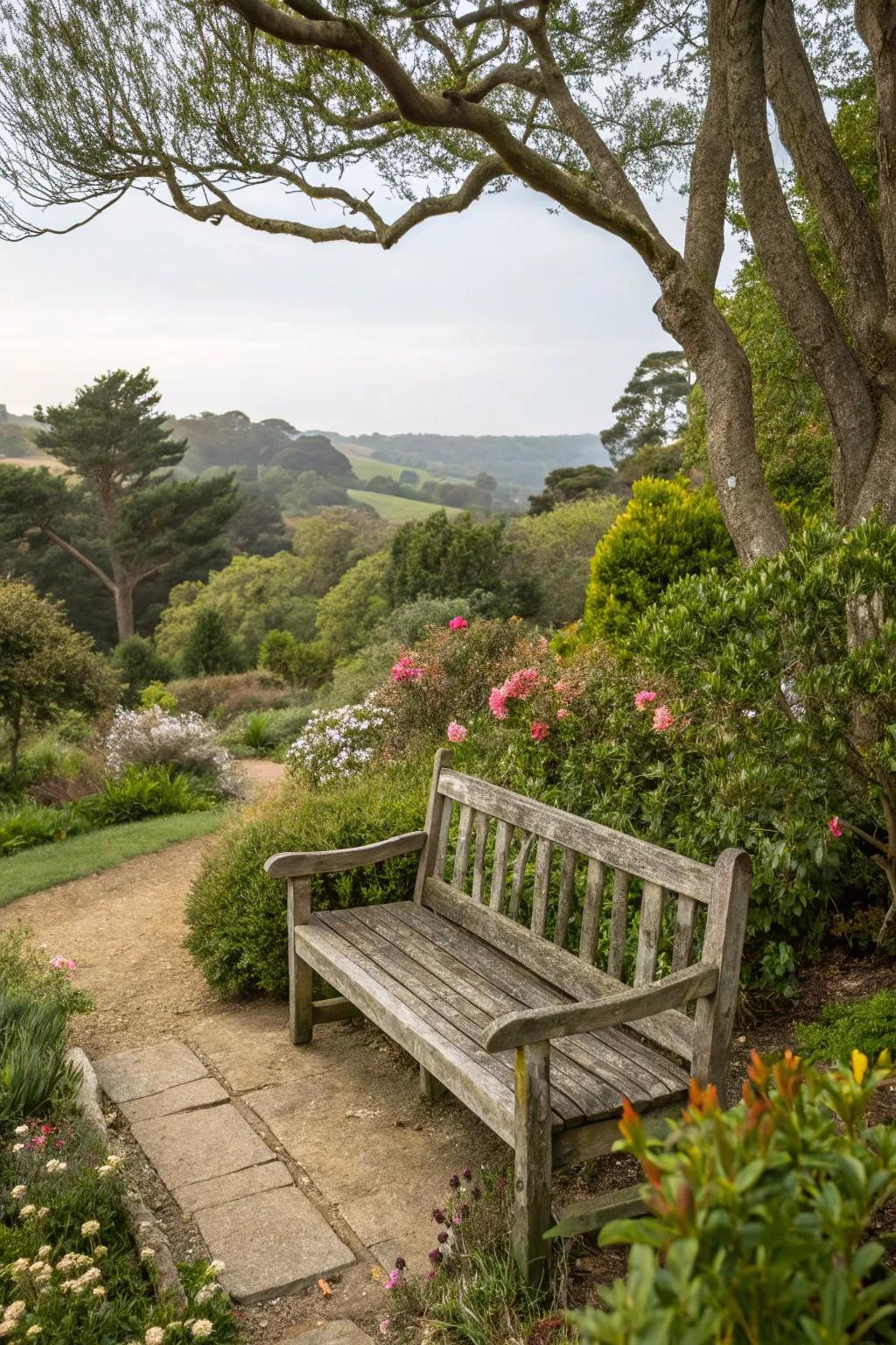 Rustic bench offering a tranquil location to appreciate nature.