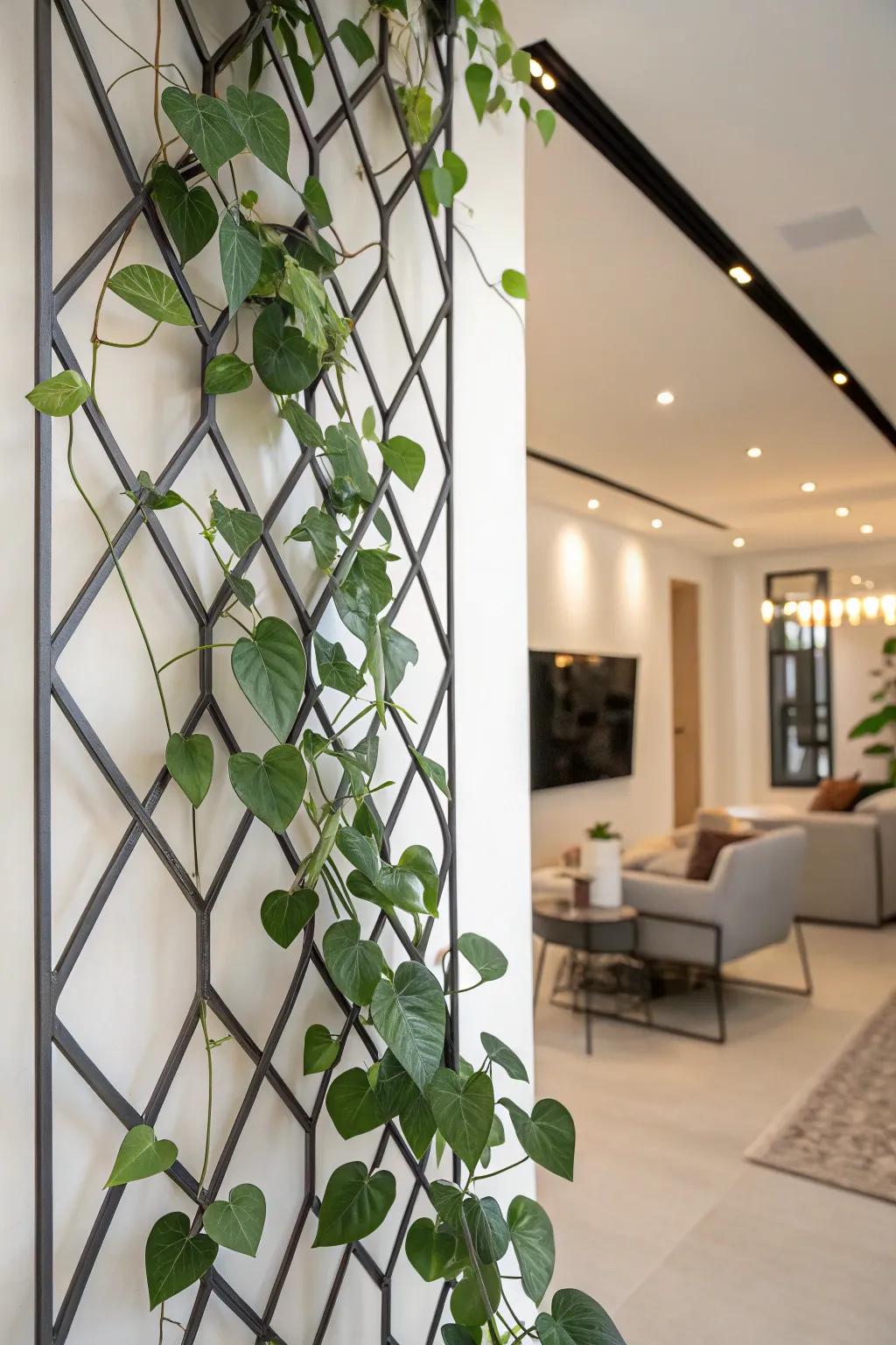 A modern living area featuring a wax plant climbing an angular wall support.