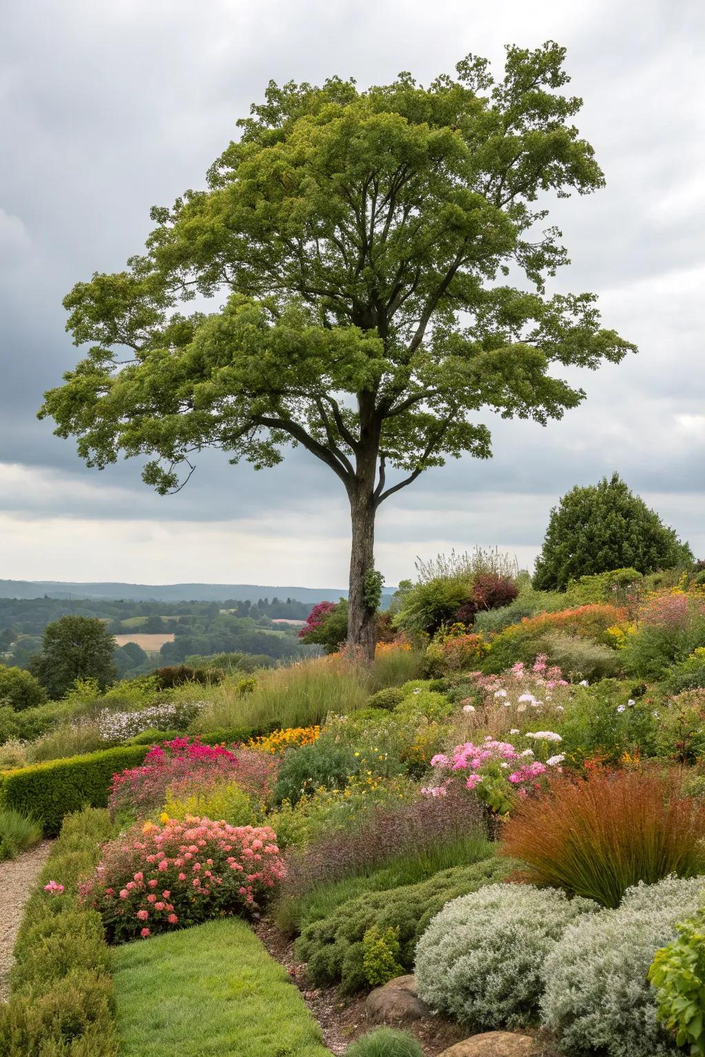 Varied vegetation introduces texture and captivation around trees.