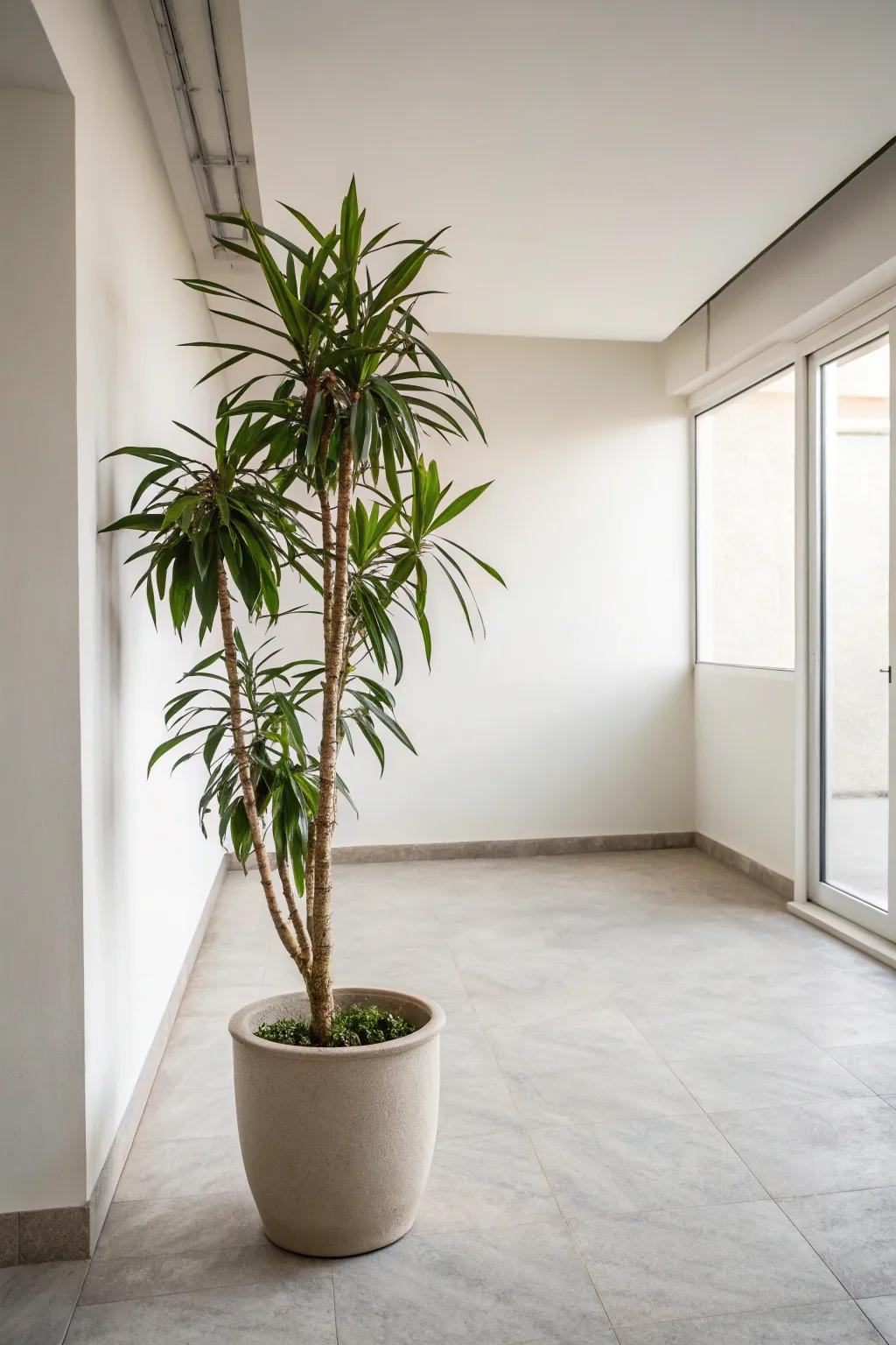 A hint of green elements adds energy to minimalist decor.