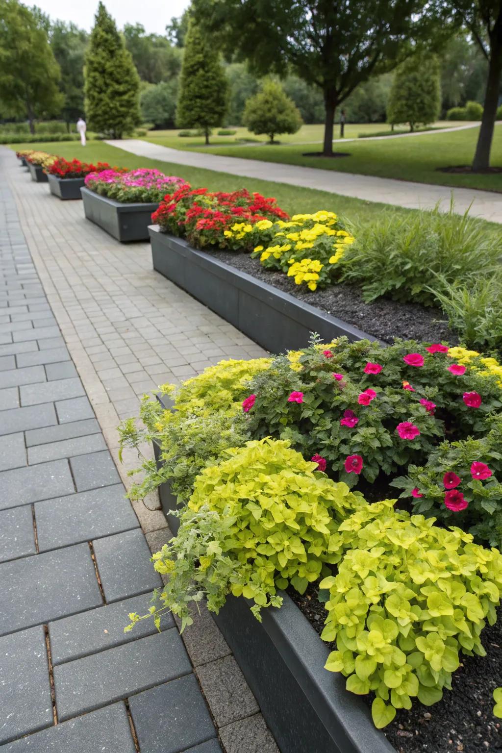 Contrasting shades fashion a visually impressive garden.