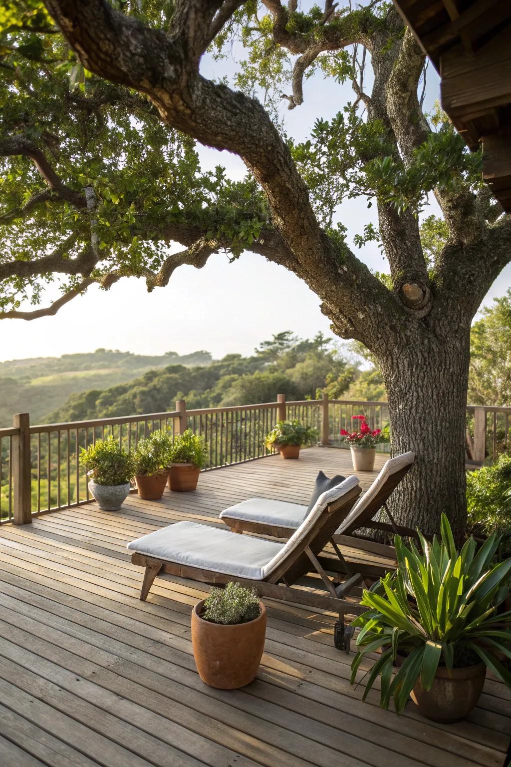 A terrace near the tree elevates your open-air journey.