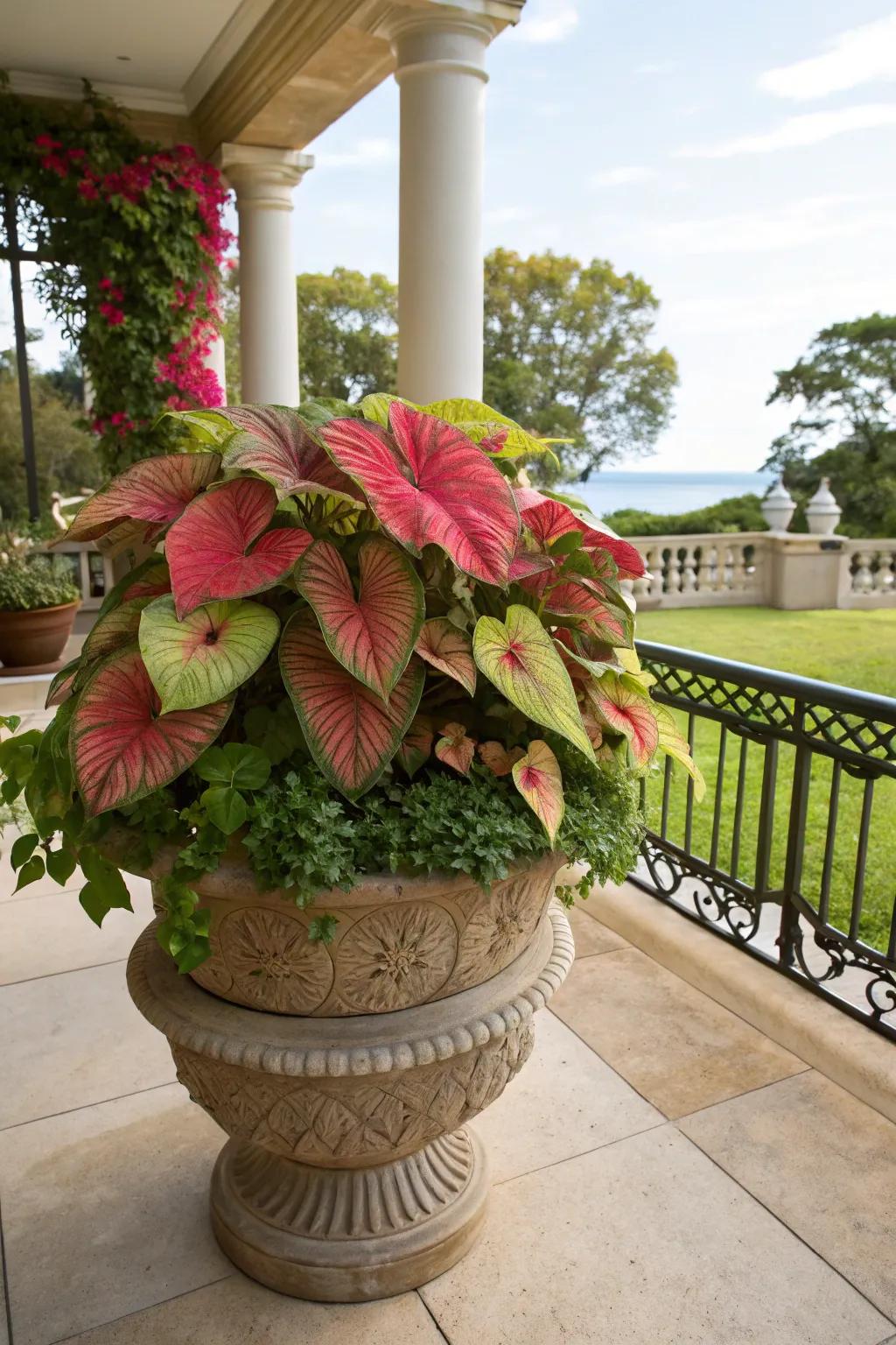 Tiered kaleidoscope plants deliver depth and visual fascination.