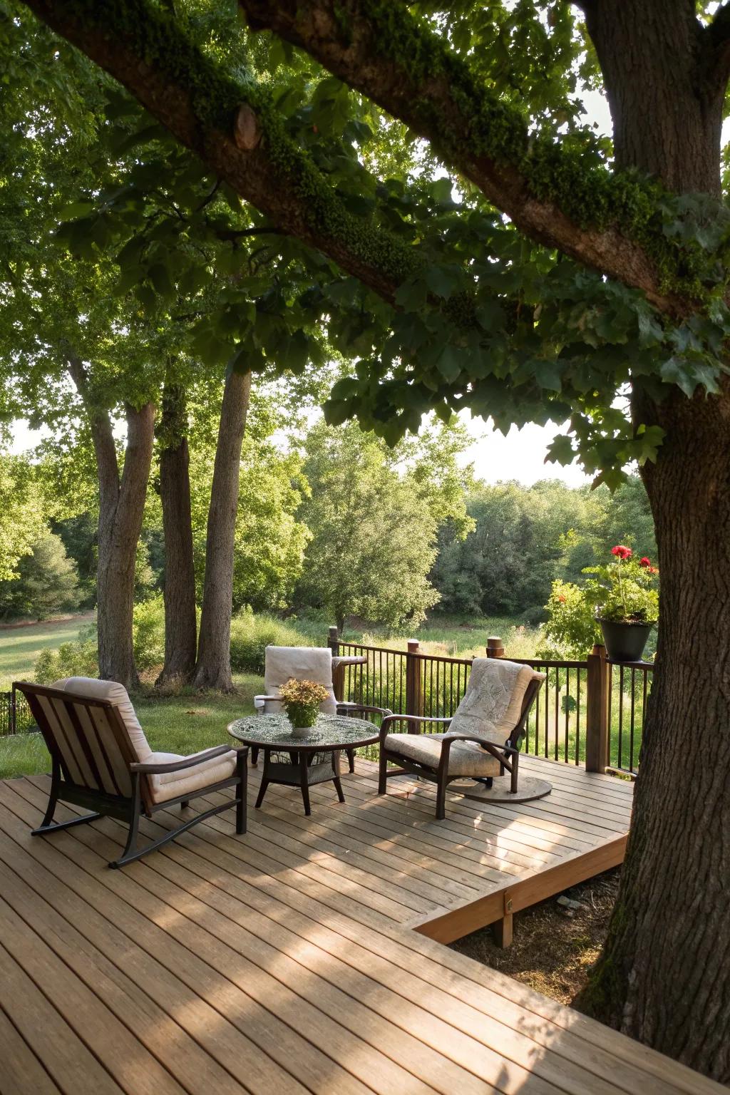 Natural tree shade crafts a tranquil and eco-conscious deck setting.