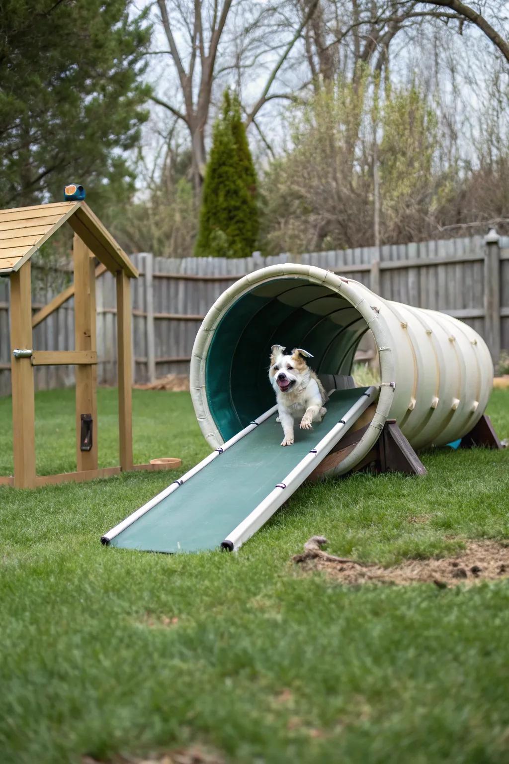 Fitness equipment can turn your yard into a fun playground.