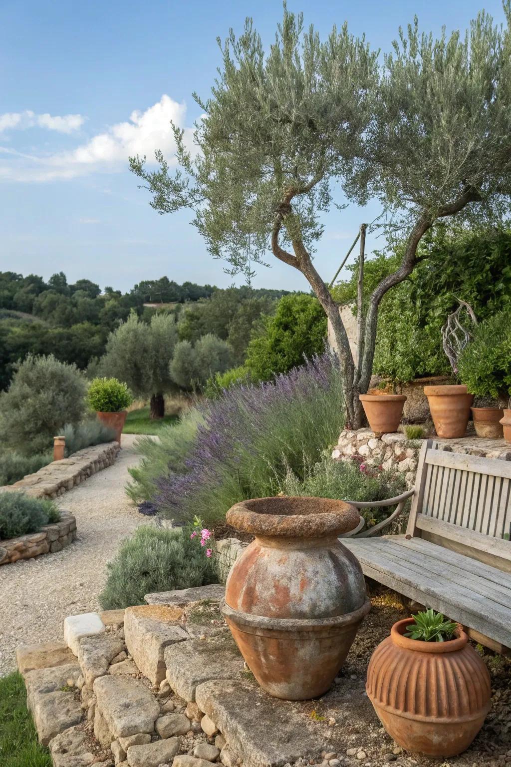 Bring a taste of the Mediterranean to your garden with themed pot setups.