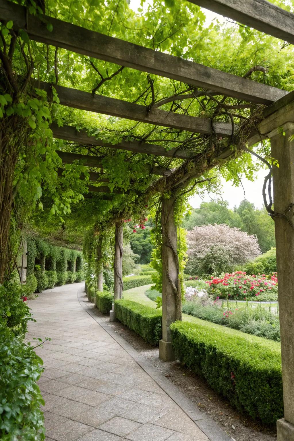 Green vines turn this structure into a natural, enchanting roof.