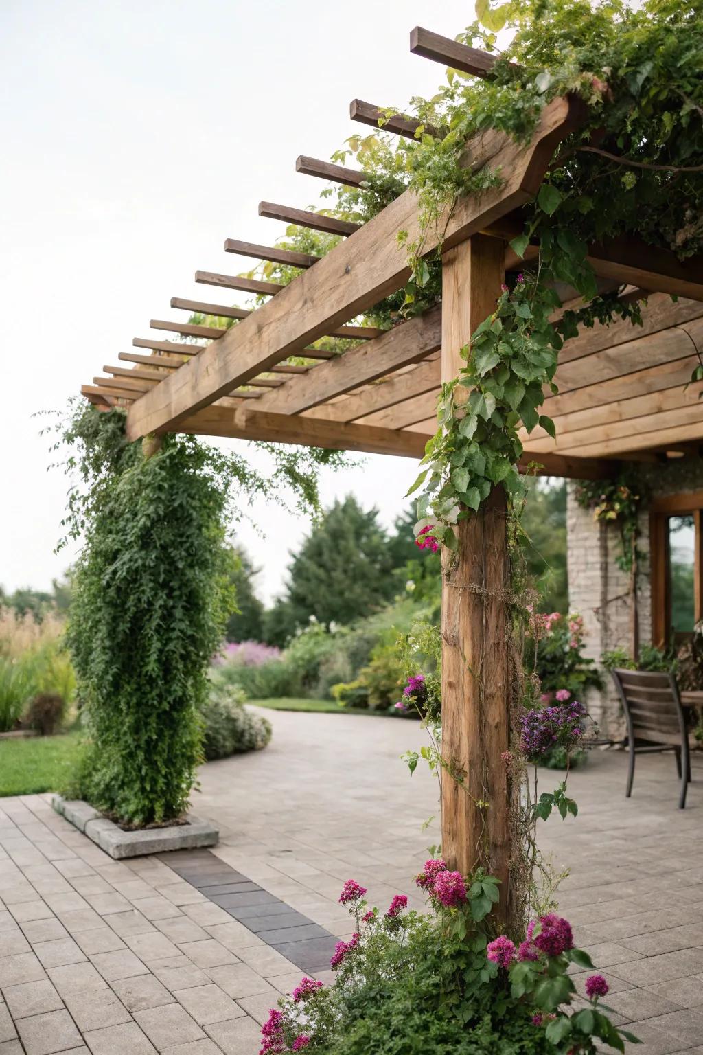A garden feature offers shade in addition to aesthetic interest.