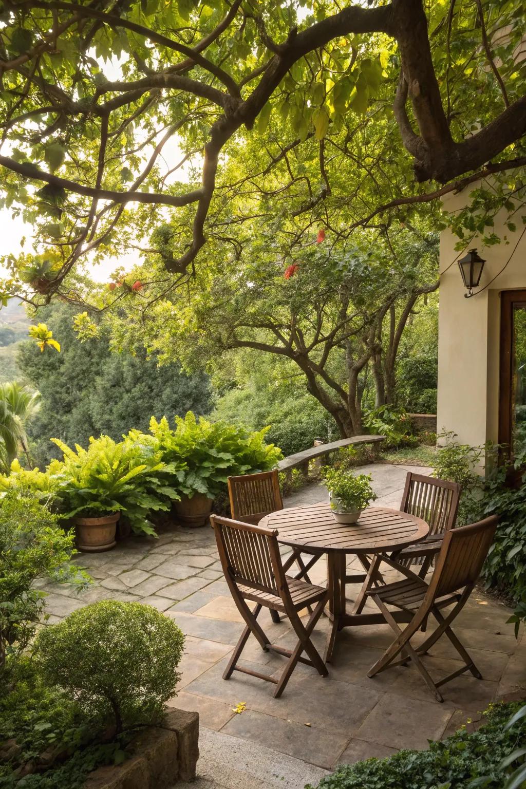 A serene patio nestled amidst luxuriant trees and flora.