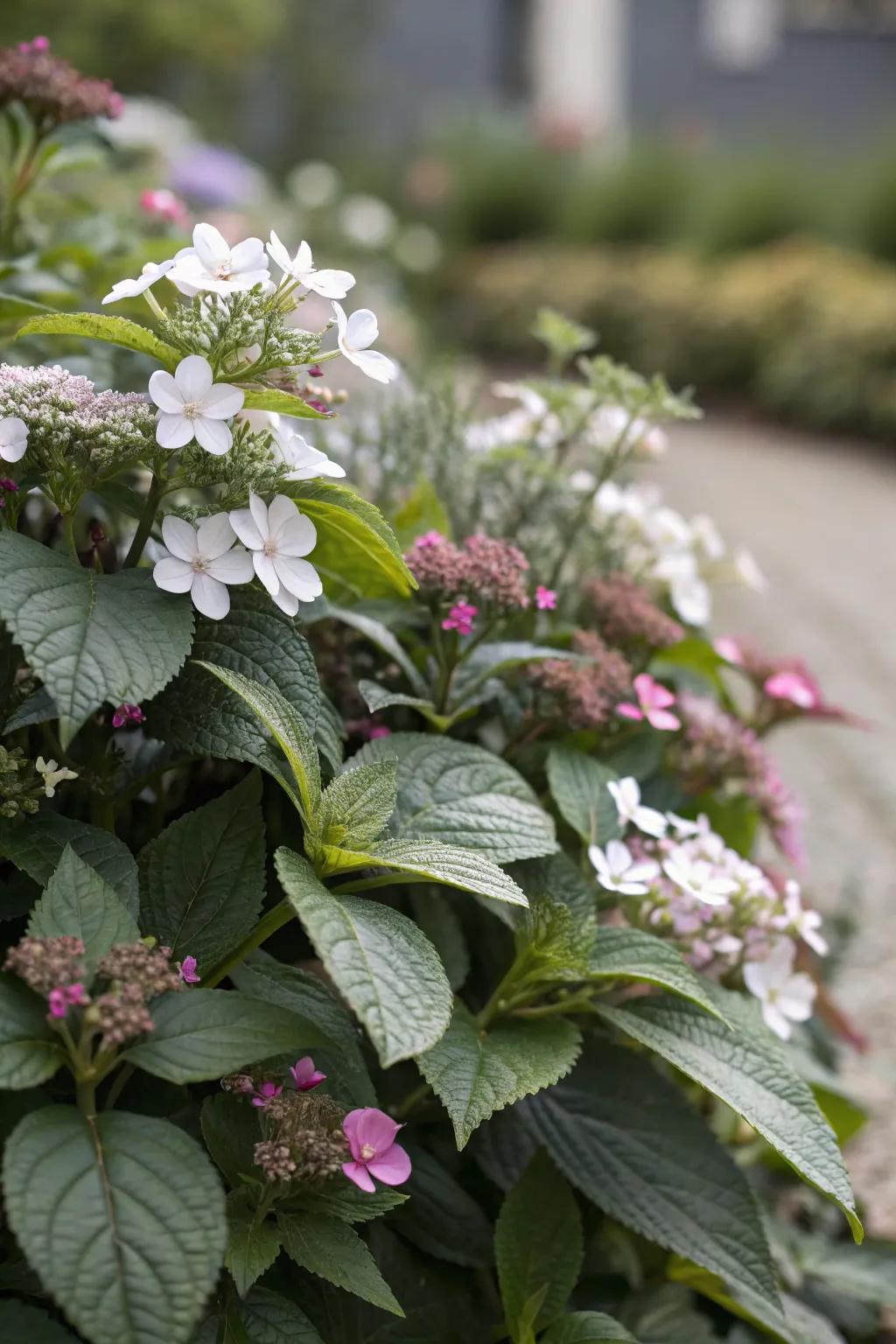 A textured floral perimeter presenting a mix of expansive foliage and subtle blossoms.