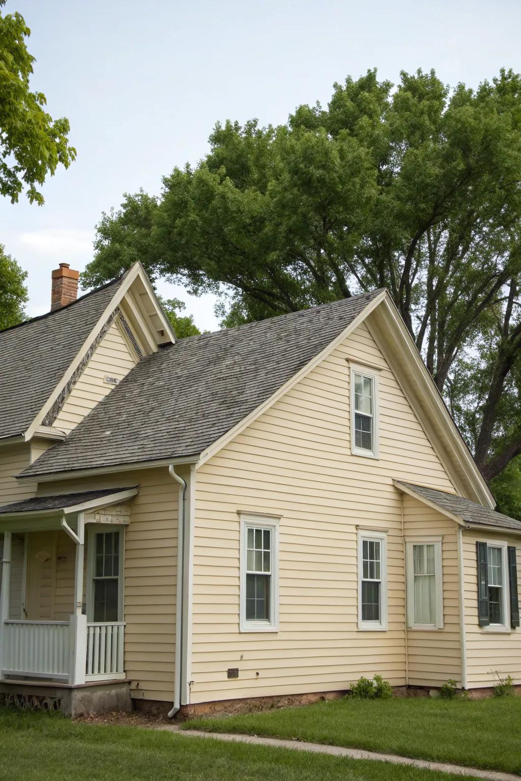 Classic ranch designs showcase timeless elegance with familiar rooflines.
