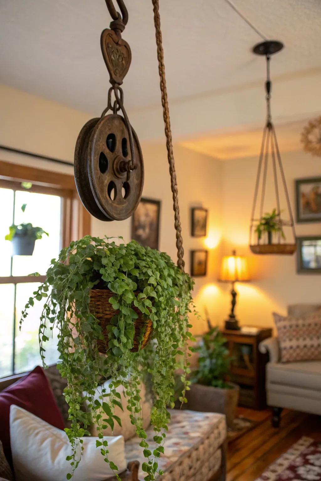 Improve your greenery arrangement with a pulley plant hanger.