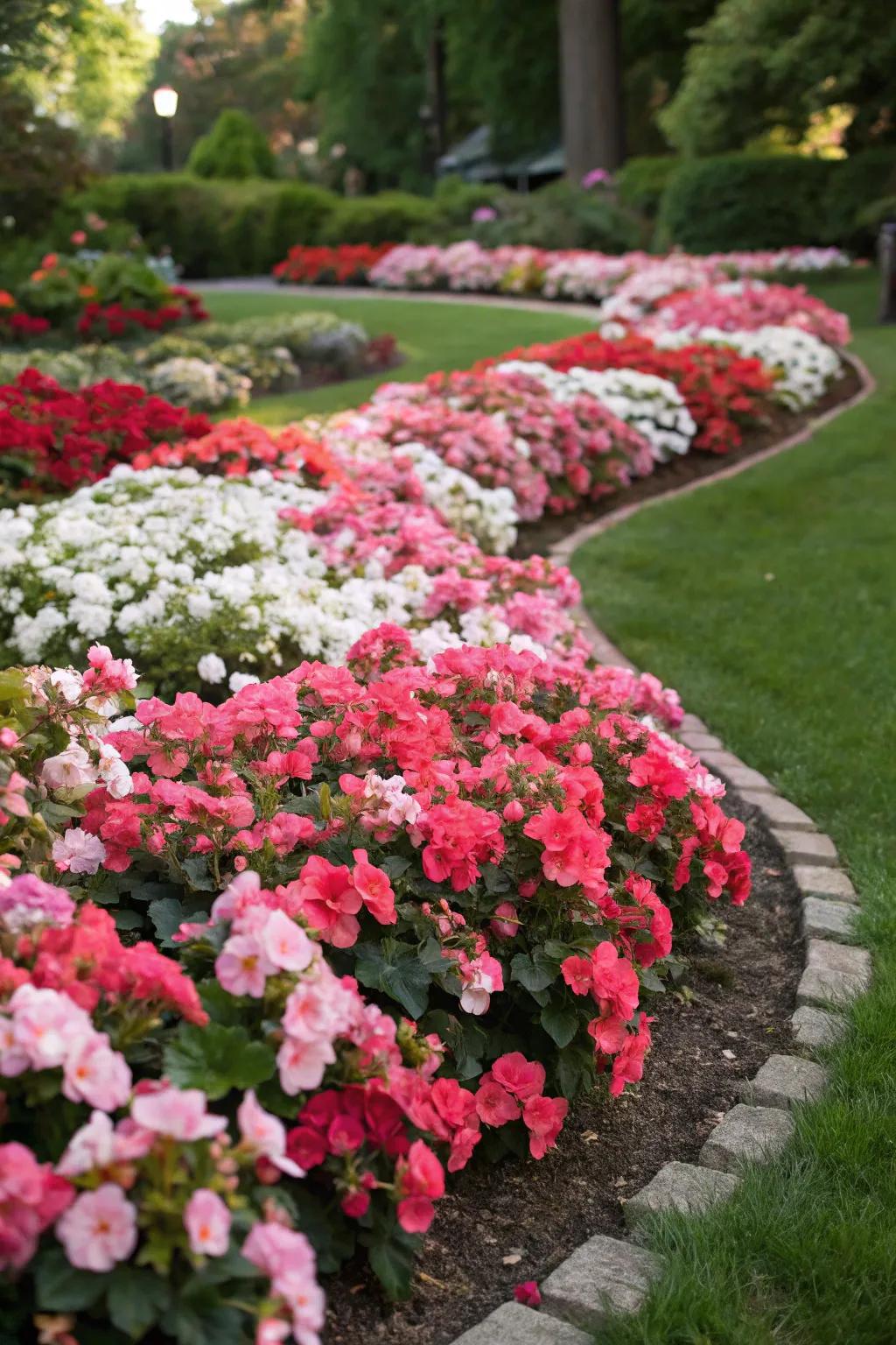 Blossomhearts are great for ground cover that's full of color.