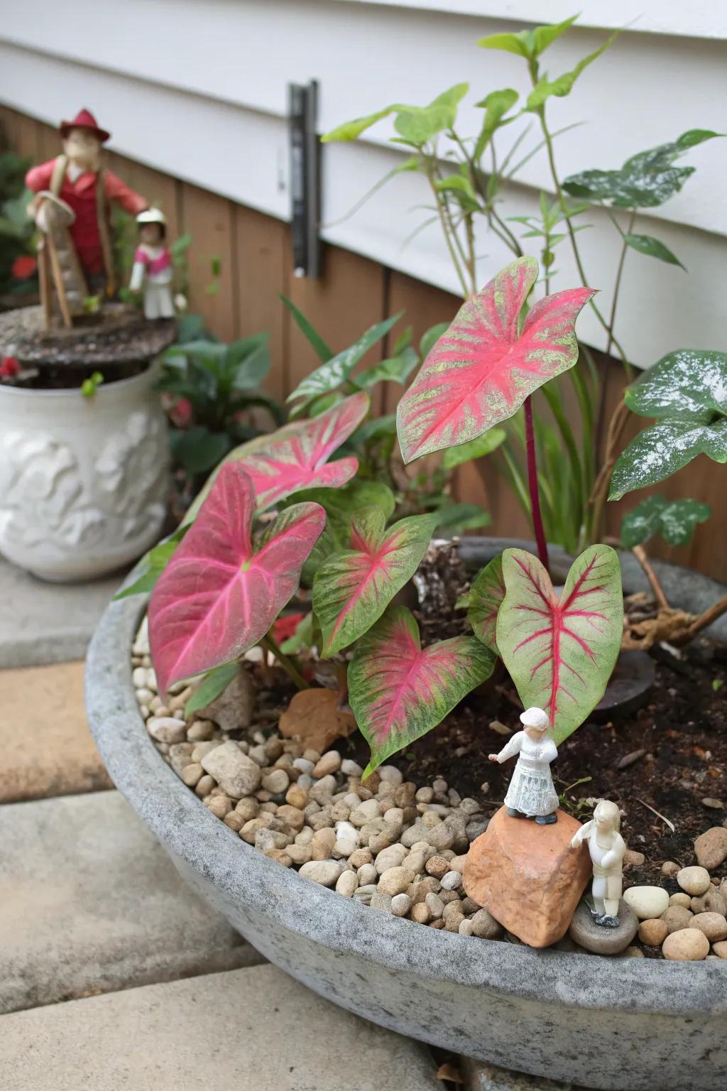 A diminutive sanctuary featuring kaleidoscope plants contributes whimsy to your aesthetic.