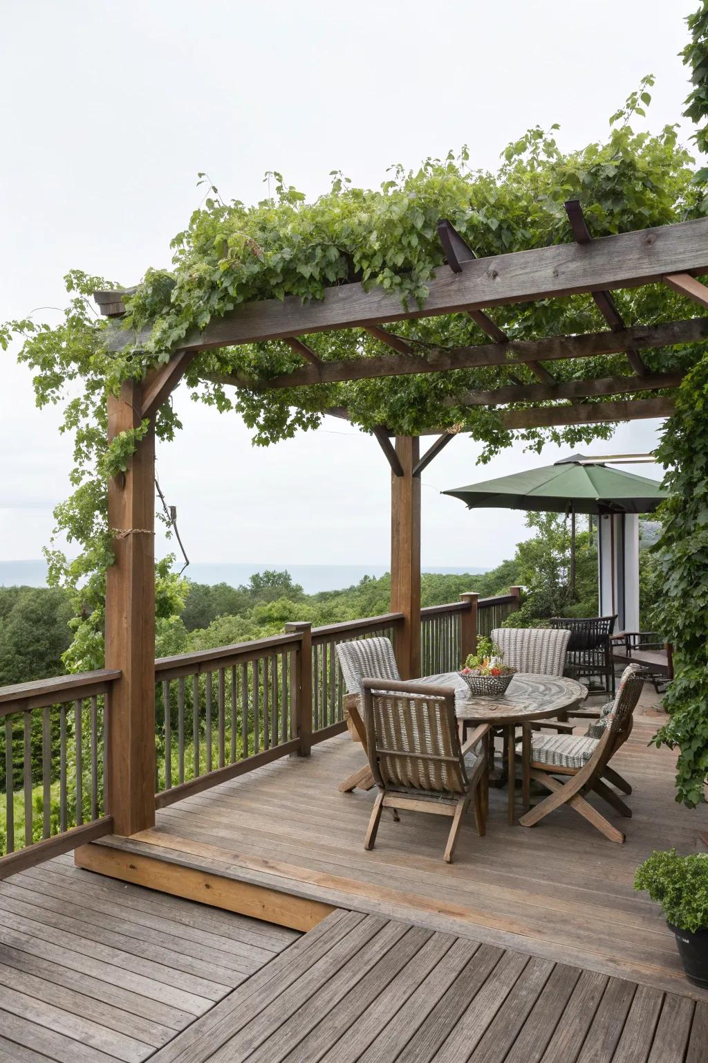 A deck with a pergola, offering shade and architectural interest.