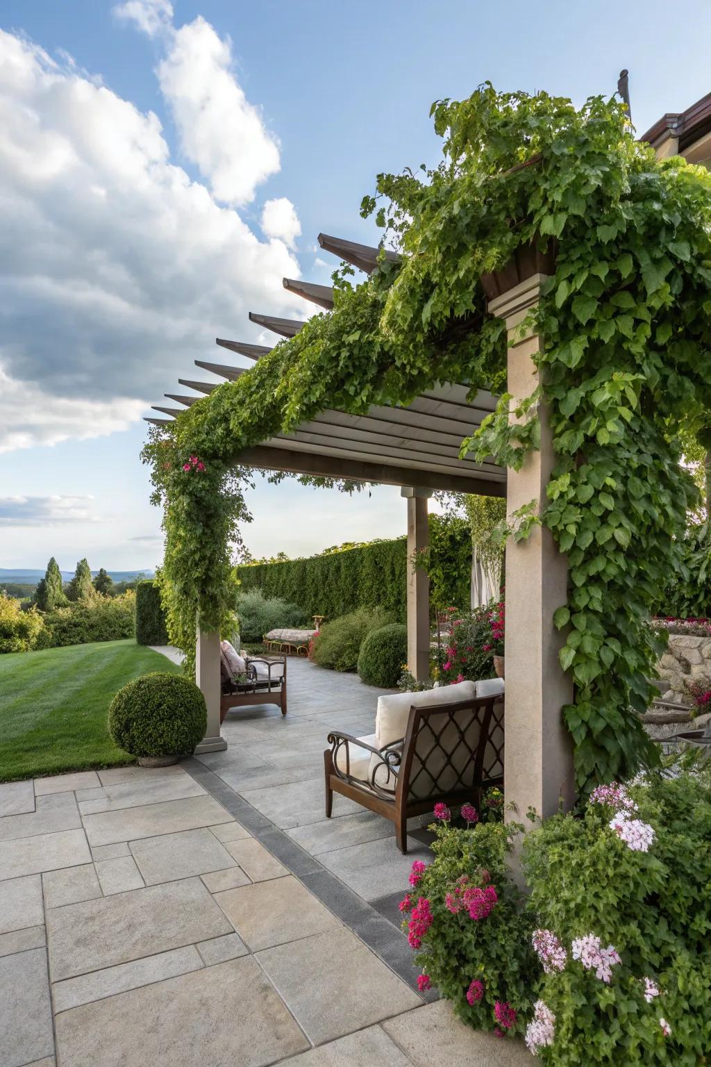 A pergola delivers both shade and a foundation for stunning climbing flora.