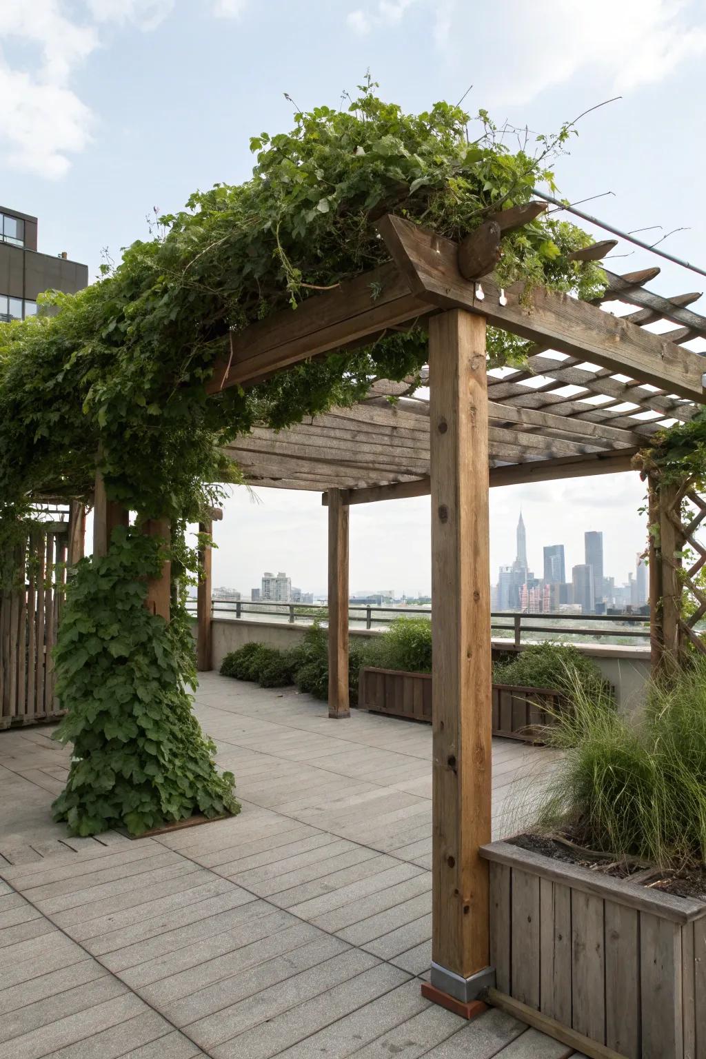 An arbor offers shade and style to your rooftop haven.