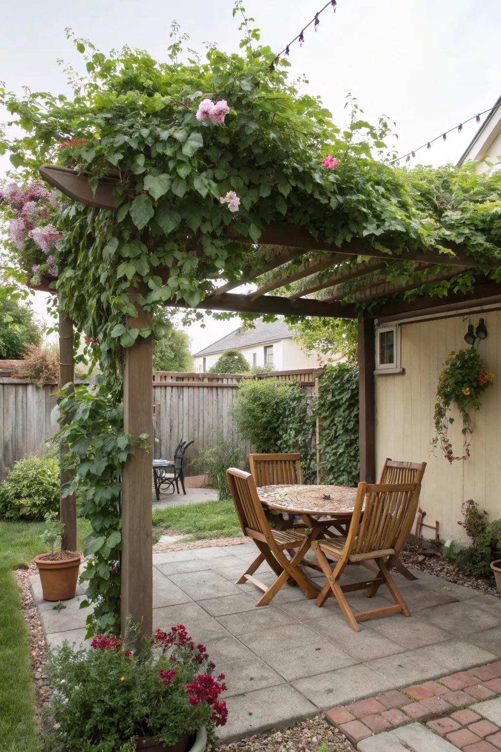 A trellis provides a shaded getaway in the heat of the day.