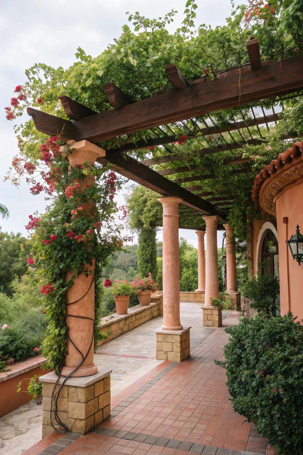 A Mediterranean-inspired arbor with dynamic foliage and warm accents.