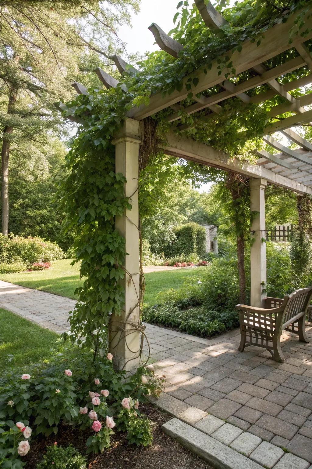 An arbor featuring climbing vines provides a shaded retreat.