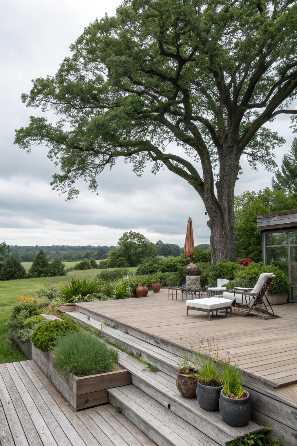 Bring nature into your deck's blueprint for a cohesive aesthetic.