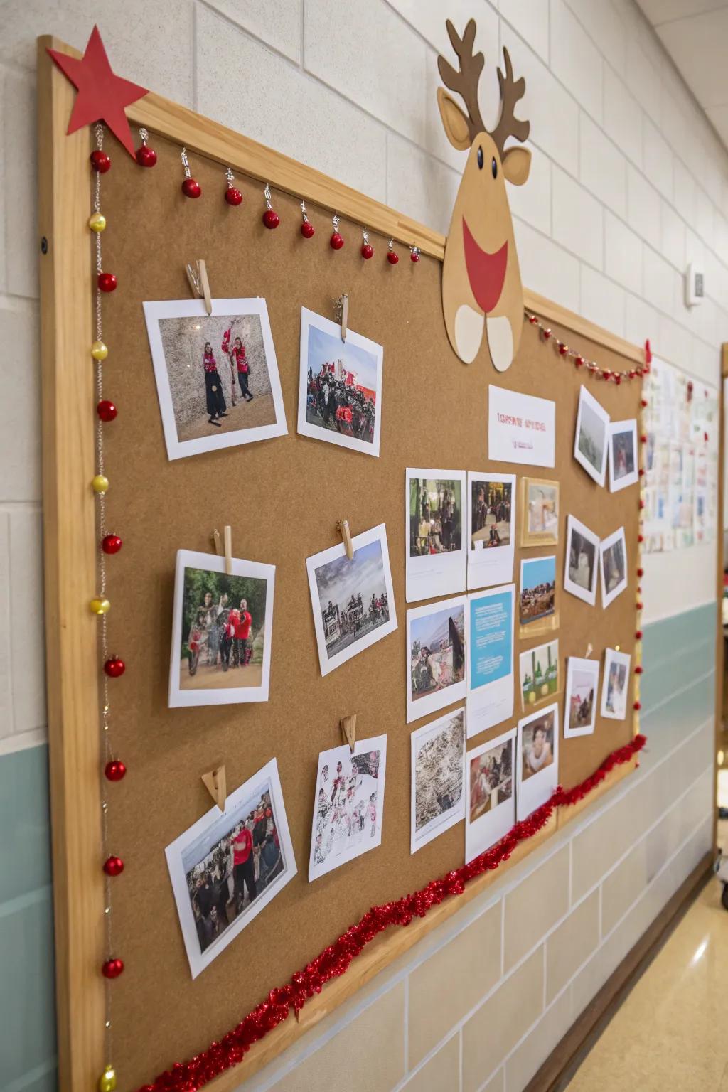A reindeer photo exhibit adds a unique touch to your display.