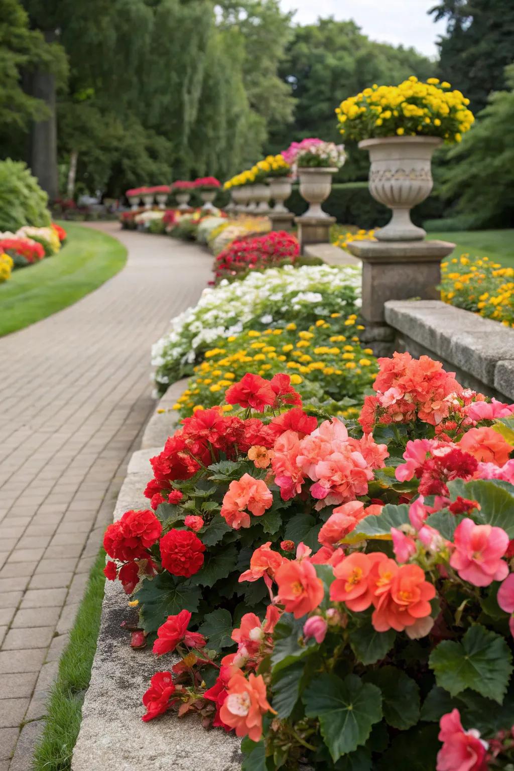 Having seasonal blossomheart shows keeps your garden interesting all year.
