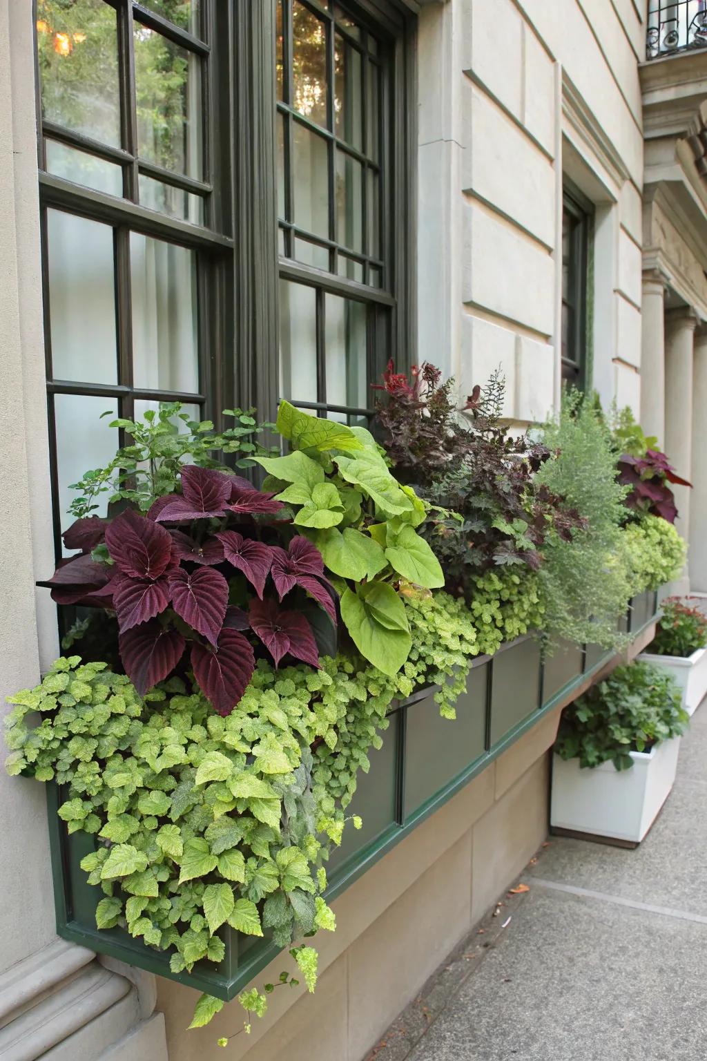 A monochromatic verdant scheme establishes a sophisticated window box.