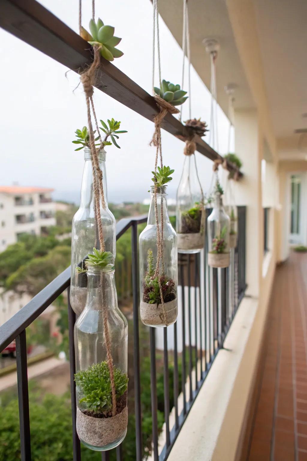 Suspended bottle gardens providing a sky verdant presentation.