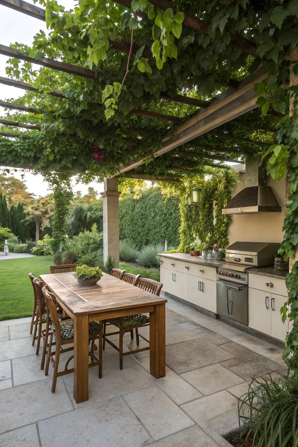 Vines climbing on a pergola create a lush, natural roof.