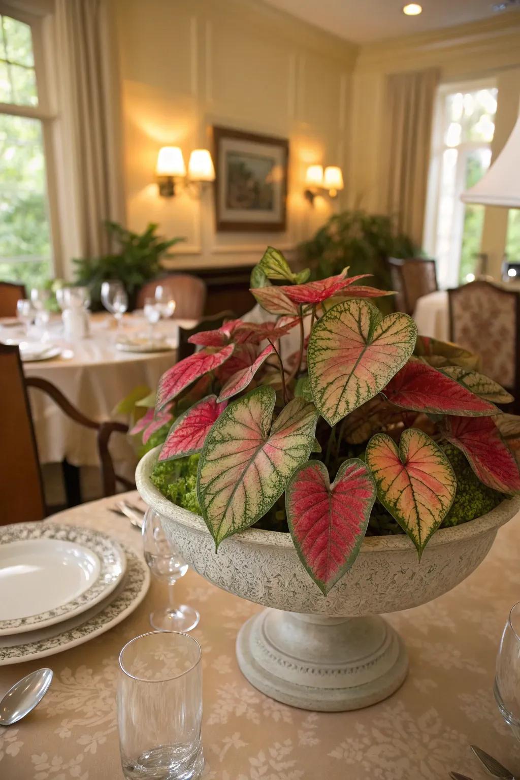 A kaleidoscope plant centerpiece contributes elegance to any dining table.