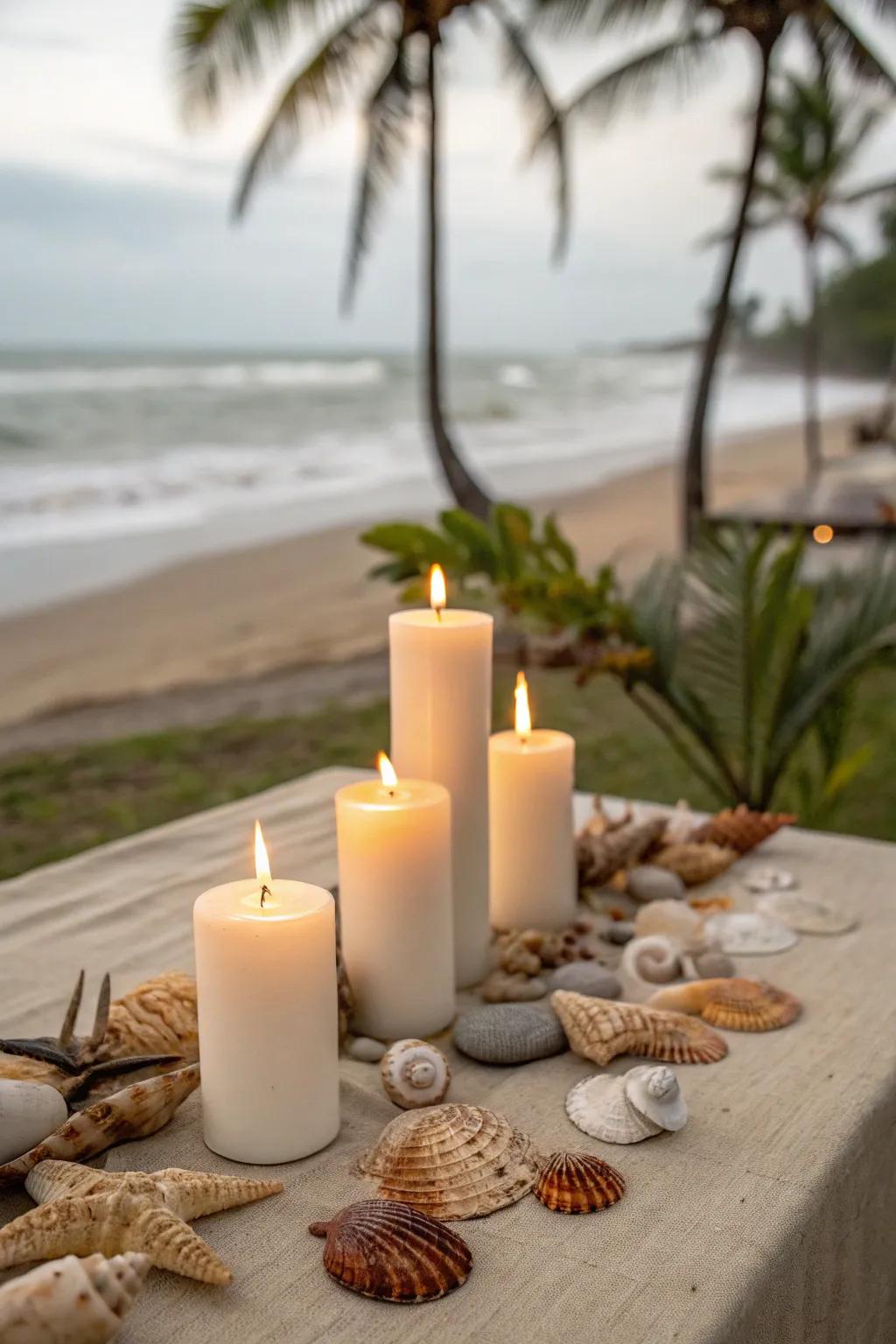 Shore-inspired light display featuring shells.