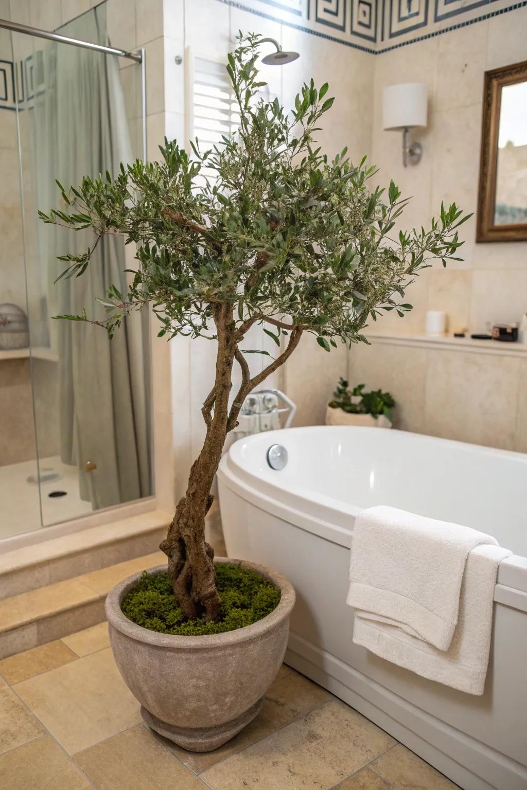 Bring tranquility to your bathroom with a synthetic Italian plant.