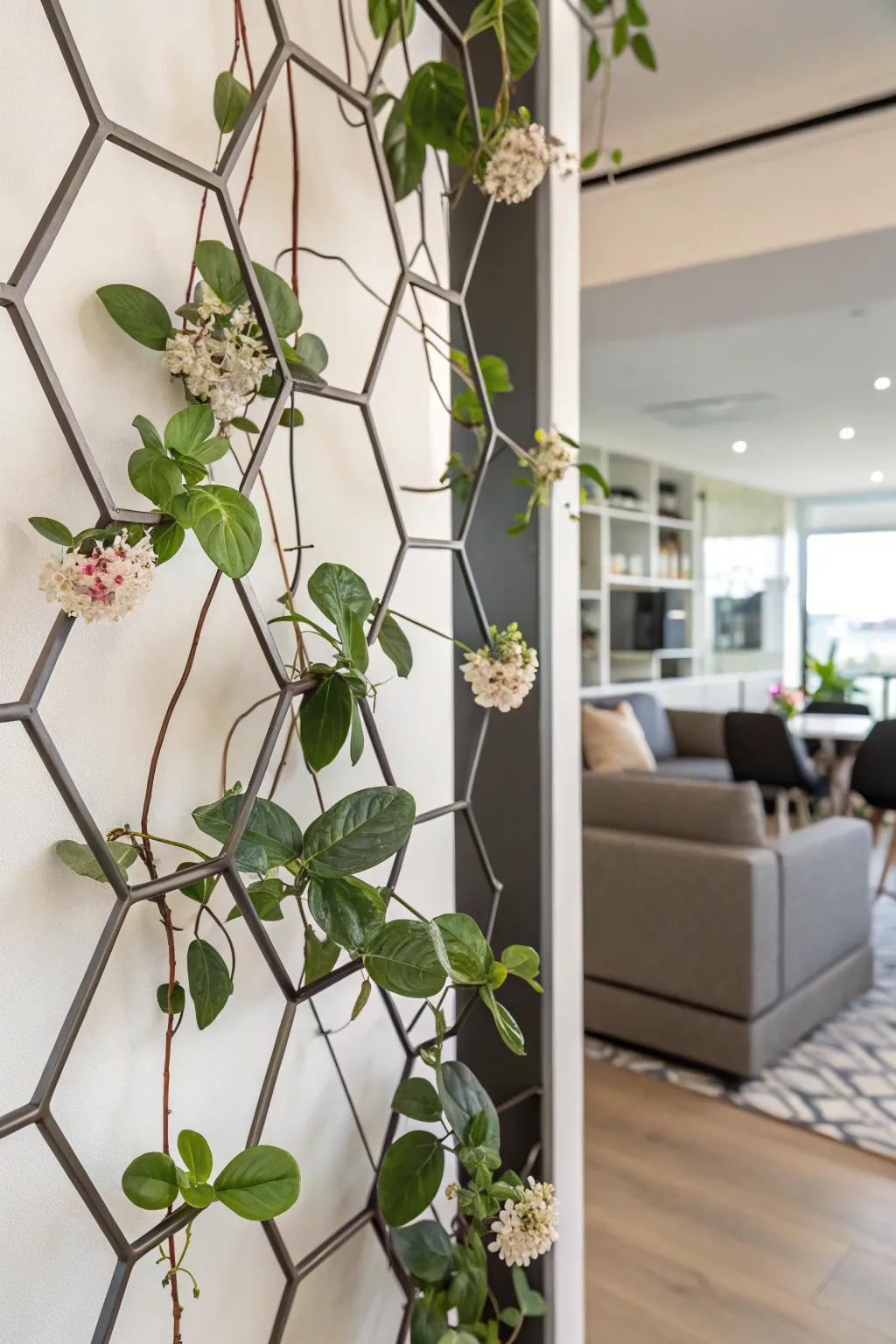 A chic urban apartment featuring a wax plant on hexagonal supports.