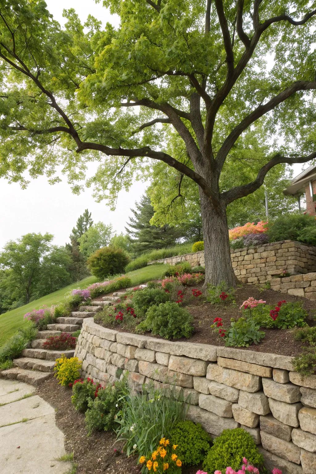 Sustaining barriers contribute framework and forestall erosion encircling trees.